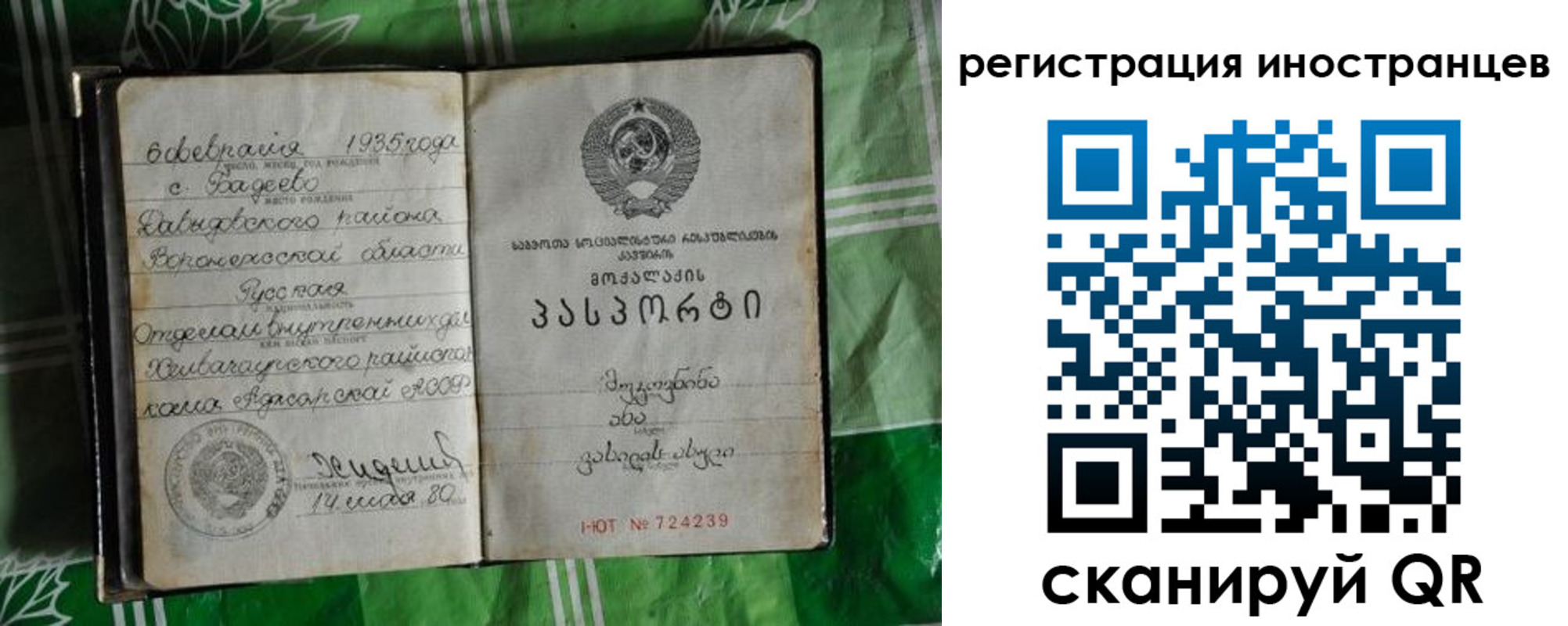 где прописаться в Алтае